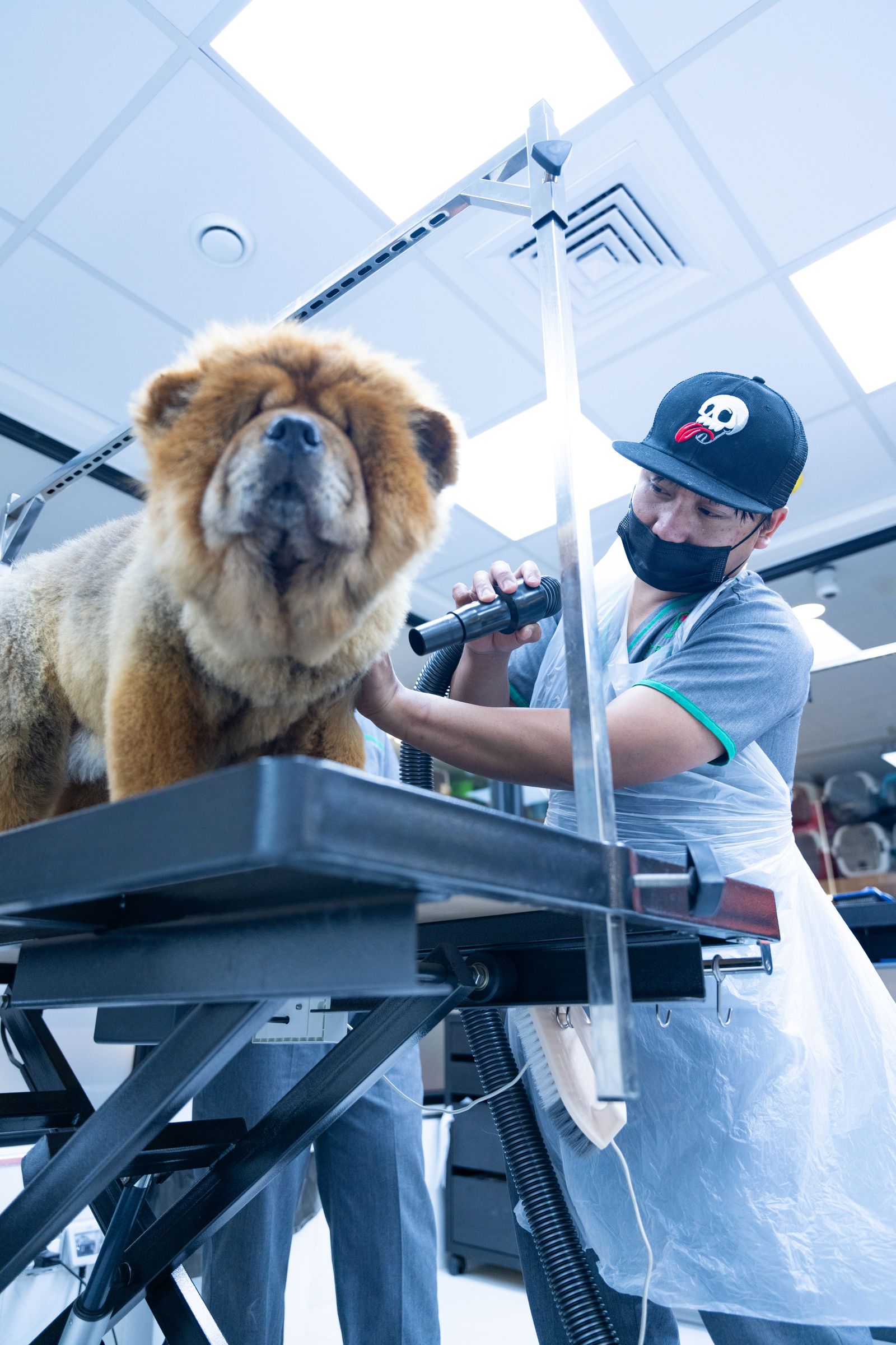 Pet care business using a point-of-sale system